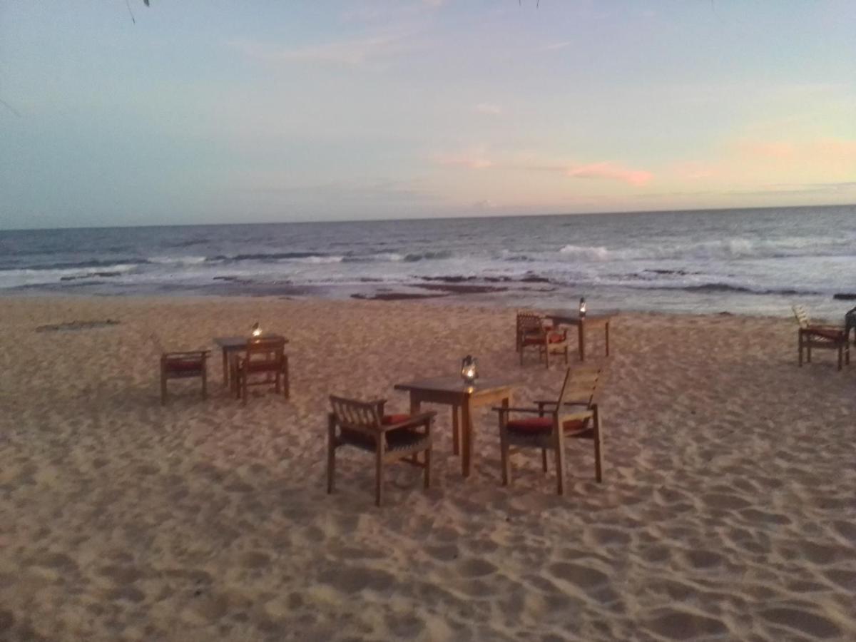 The Alpha Monkey Hotel & Tree House Tangalle Exterior photo