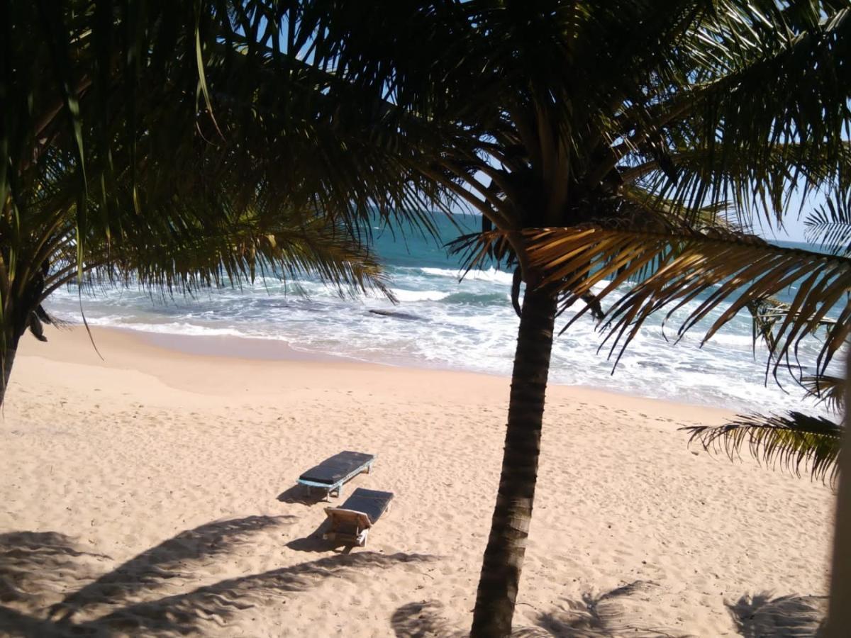 The Alpha Monkey Hotel & Tree House Tangalle Exterior photo
