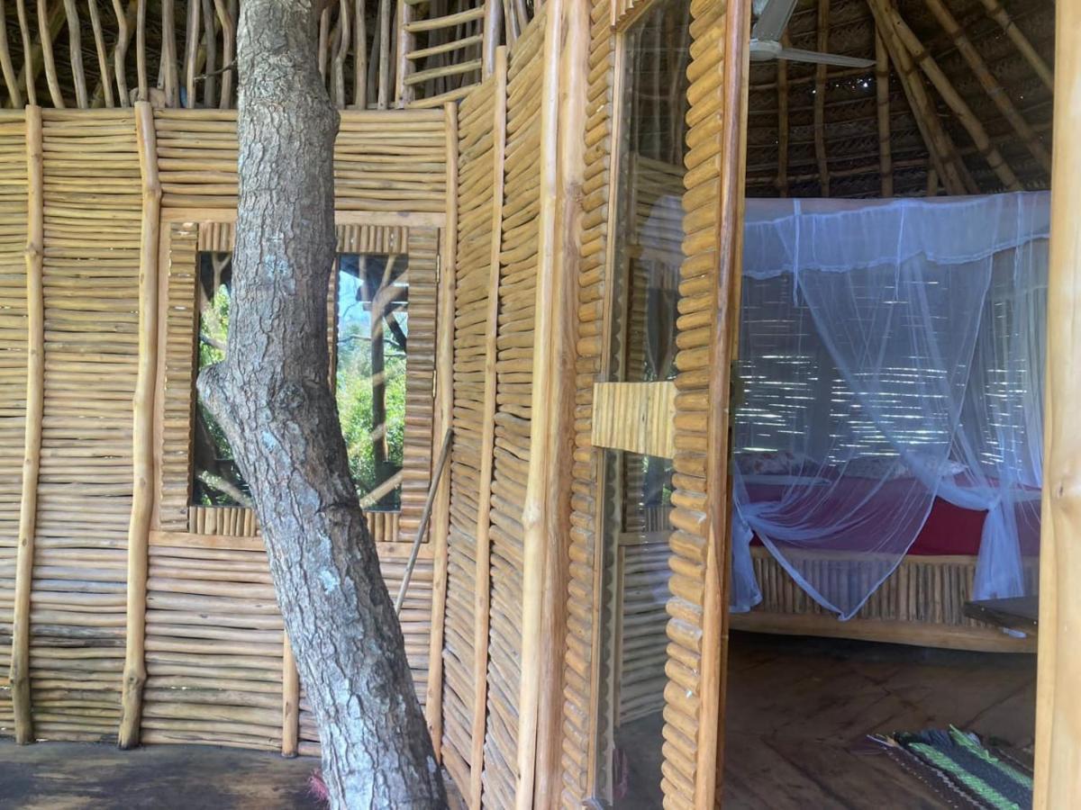 The Alpha Monkey Hotel & Tree House Tangalle Exterior photo