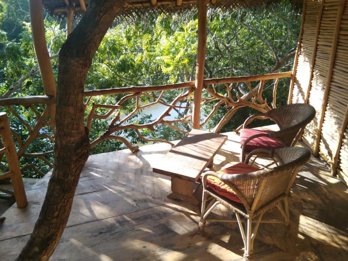 The Alpha Monkey Hotel & Tree House Tangalle Exterior photo