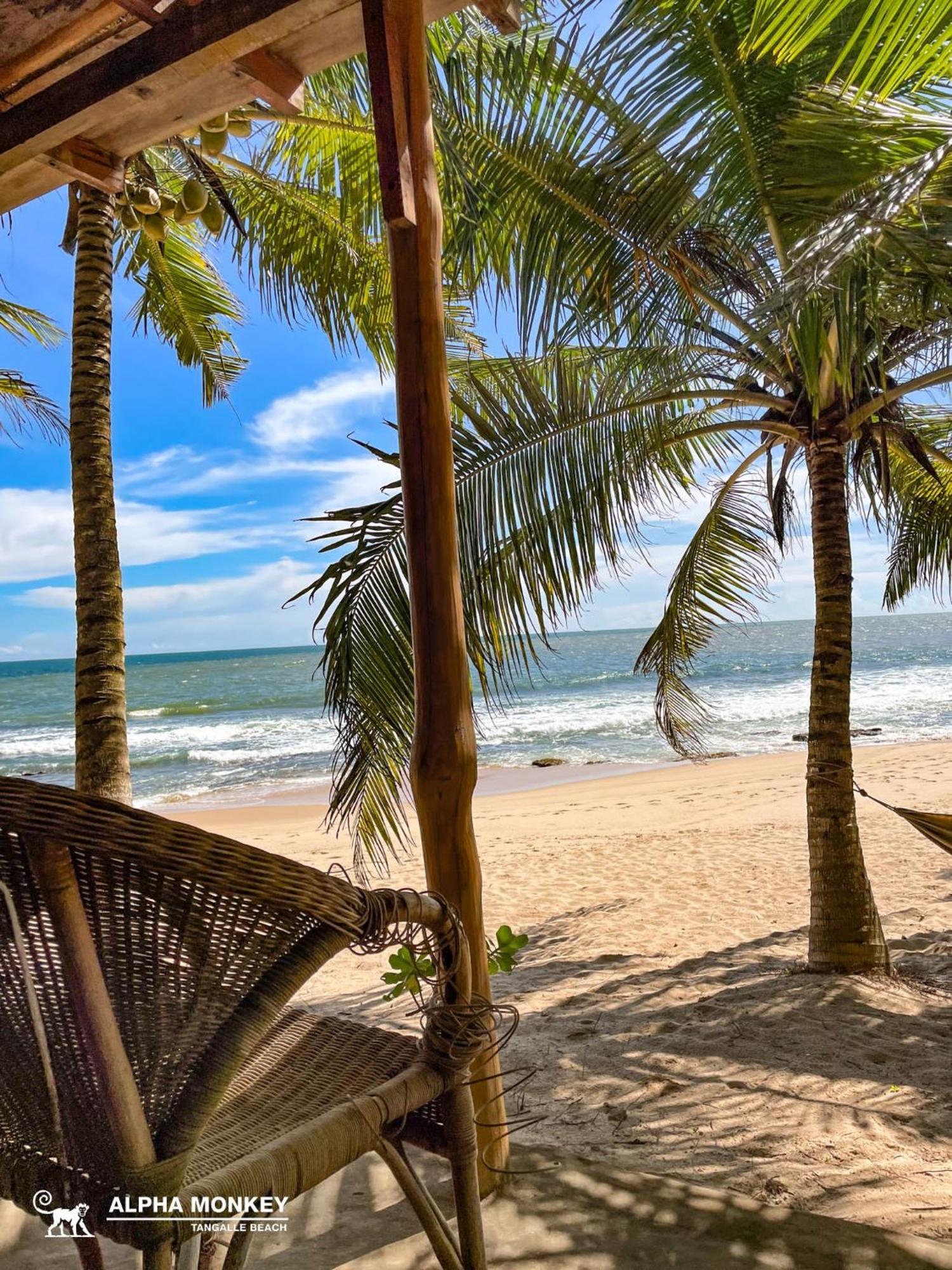 The Alpha Monkey Hotel & Tree House Tangalle Exterior photo