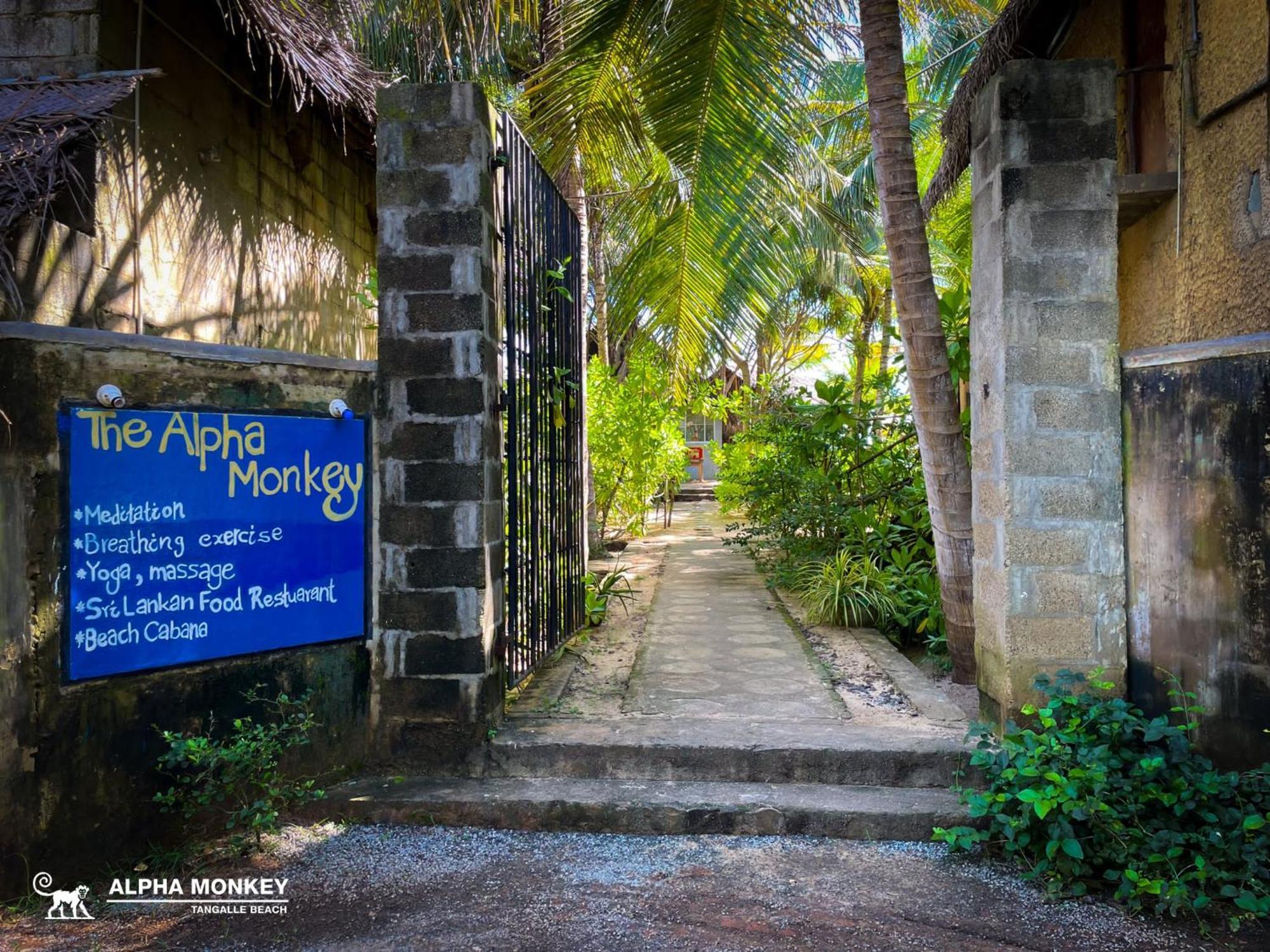 The Alpha Monkey Hotel & Tree House Tangalle Exterior photo