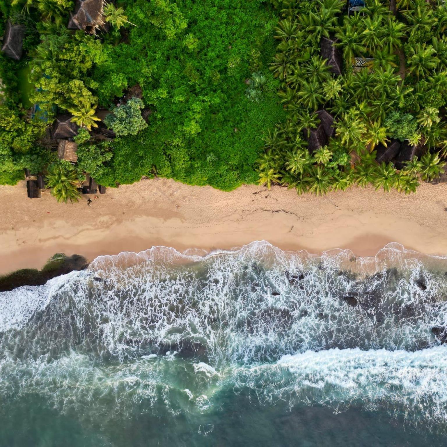 The Alpha Monkey Hotel & Tree House Tangalle Exterior photo