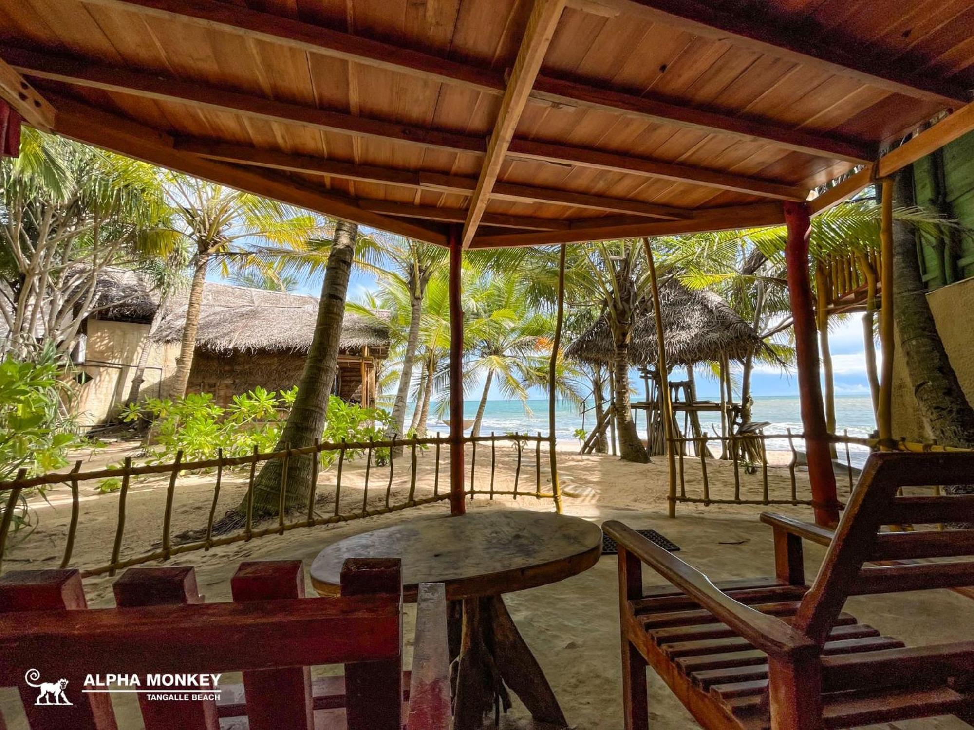 The Alpha Monkey Hotel & Tree House Tangalle Room photo