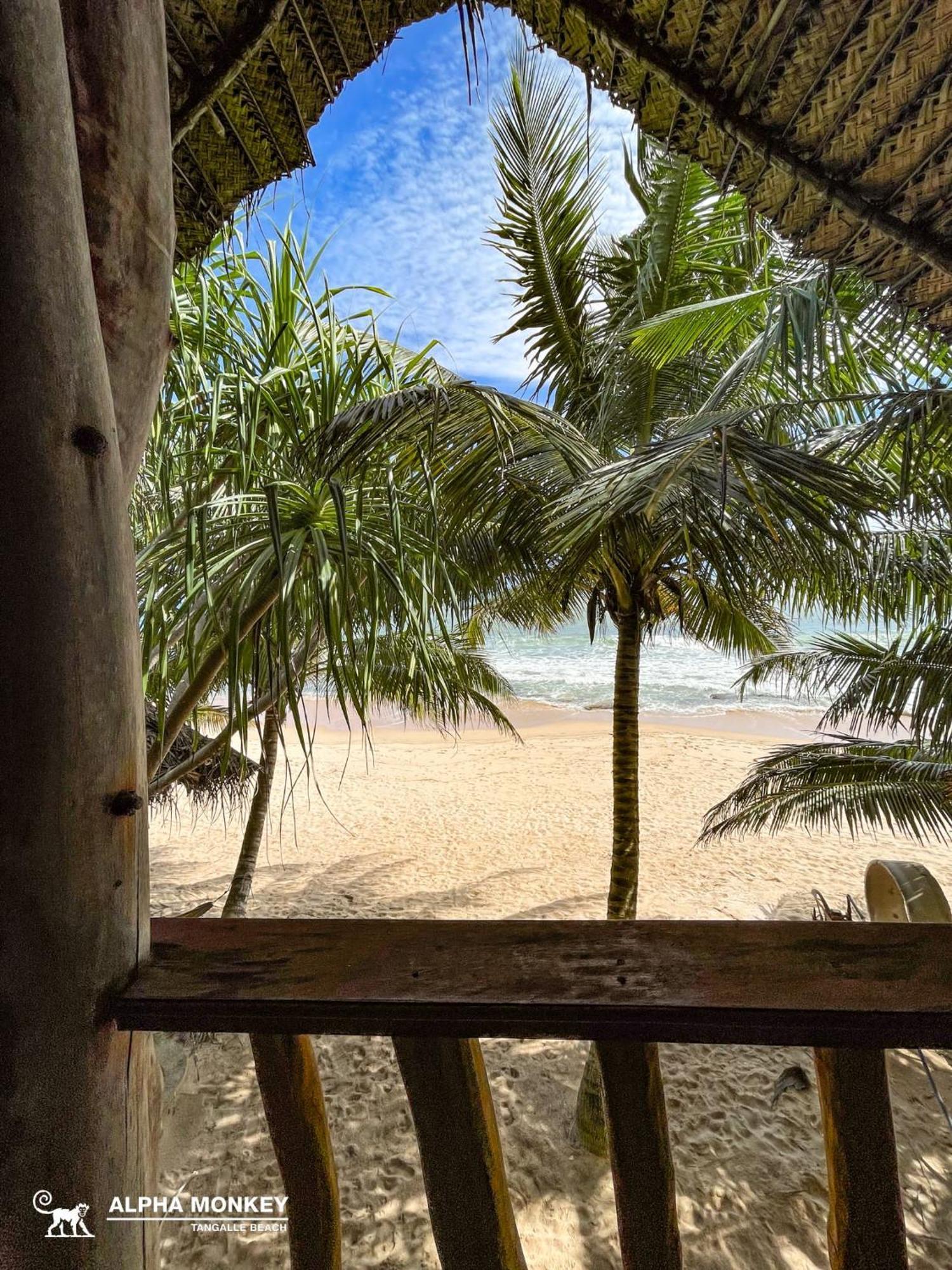The Alpha Monkey Hotel & Tree House Tangalle Room photo