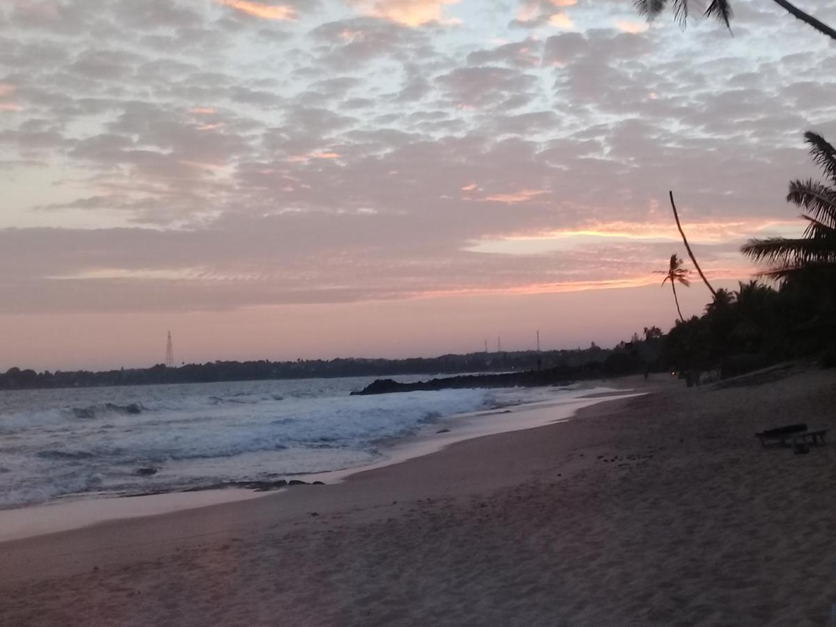 The Alpha Monkey Hotel & Tree House Tangalle Exterior photo